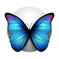 Chaos Theory-1