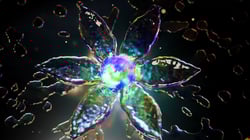 LauraLekaviciute-HoudiniFX