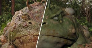 Love and Monsters VFX breakdown