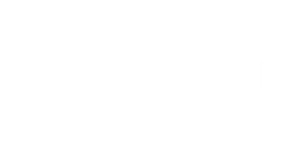 blizzard-logo-white