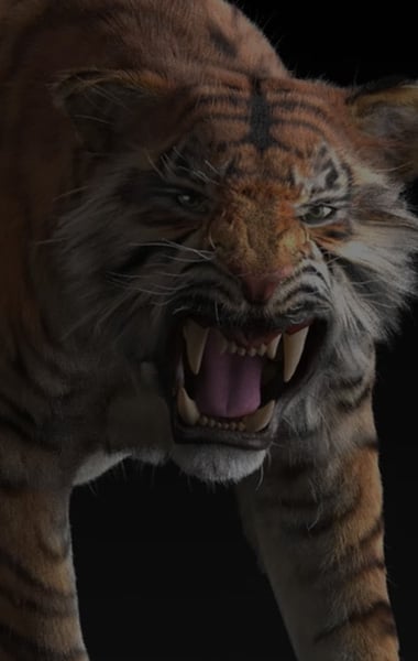 Creature Animator Job Description Salary Skills Software