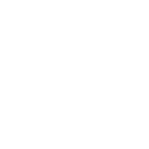 elevate-icon-white