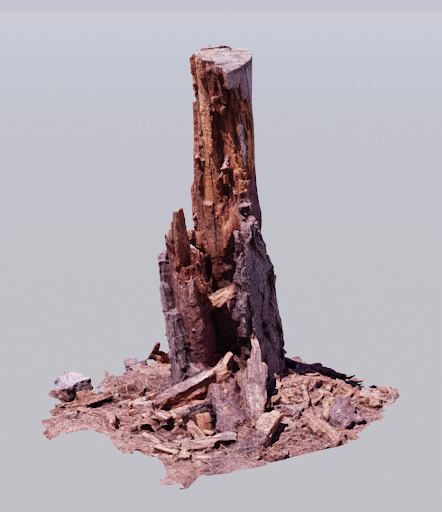 log-photogrammetry-01