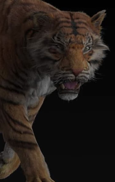 Realistic Tiger 3d Model