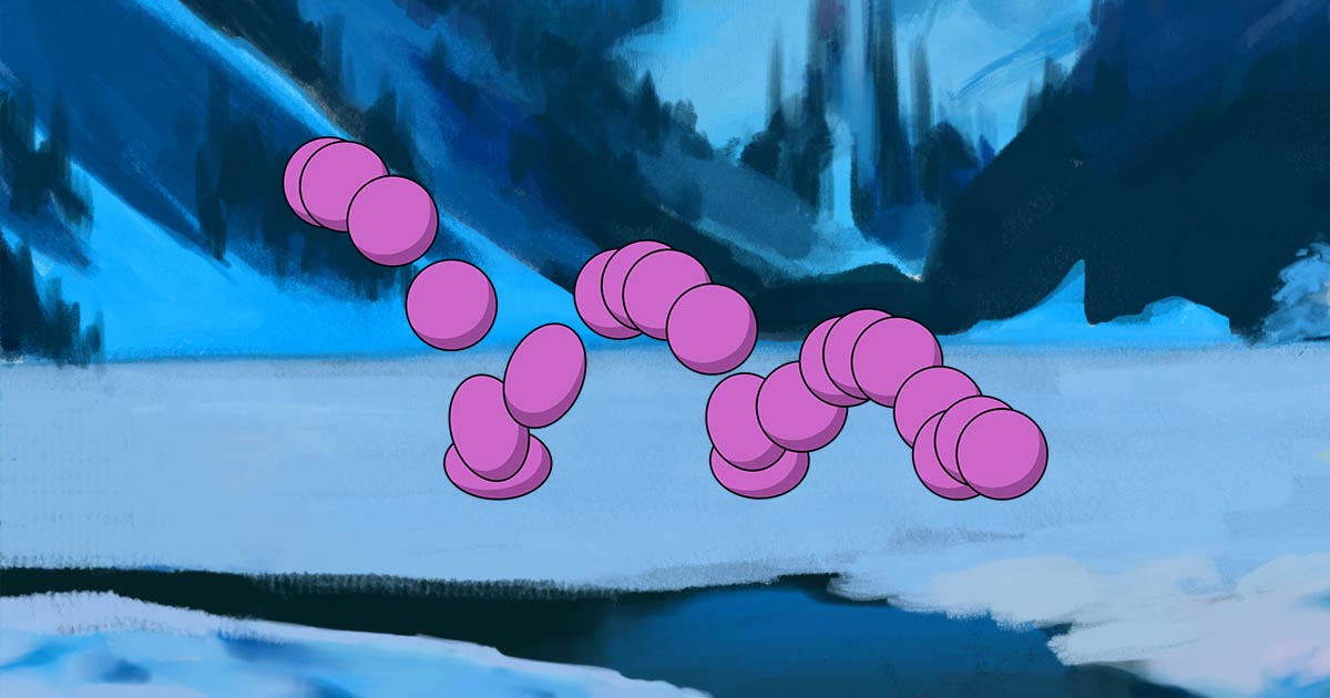 FREE Discovery Session: 2D Animation | Learn from an industry animator