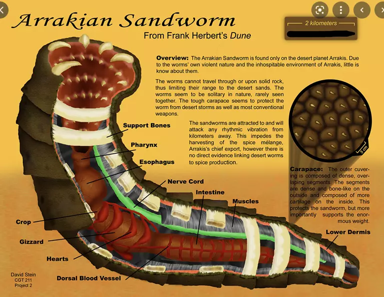 arrakian-sandworm-dune-diagram