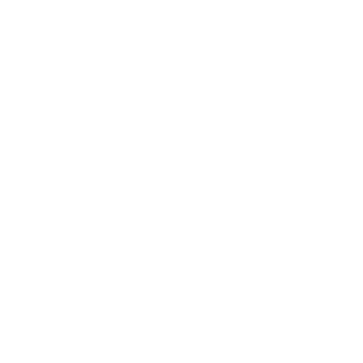 entry-requirements-icon-00