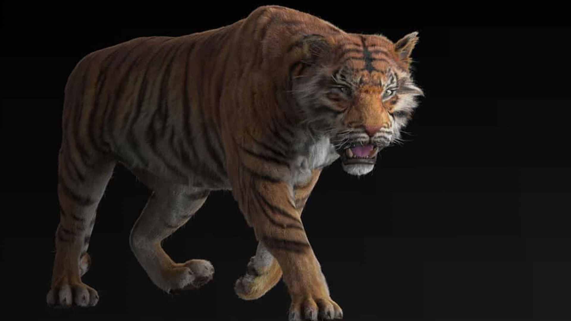 Animated Bengal tiger 3D model