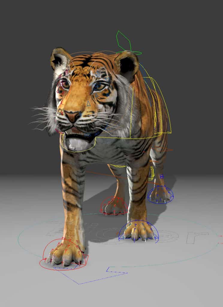 Free Tiger Animation Rig Cg Spectrum