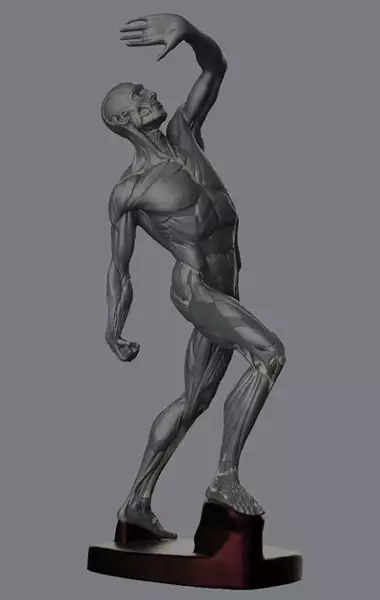 what-is-digital-ecorche-mob